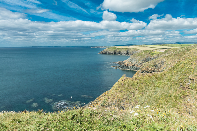 Waterford June 2018 (005)